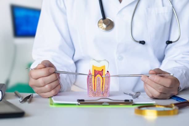 Best Emergency Dentist for Lost Fillings or Crowns in Kingwood, WV